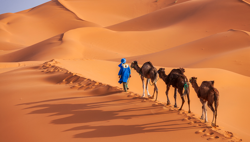 Sahara Desert, Morocco